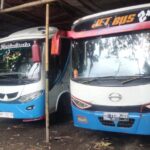 Sewa Bus Non AC Jogja